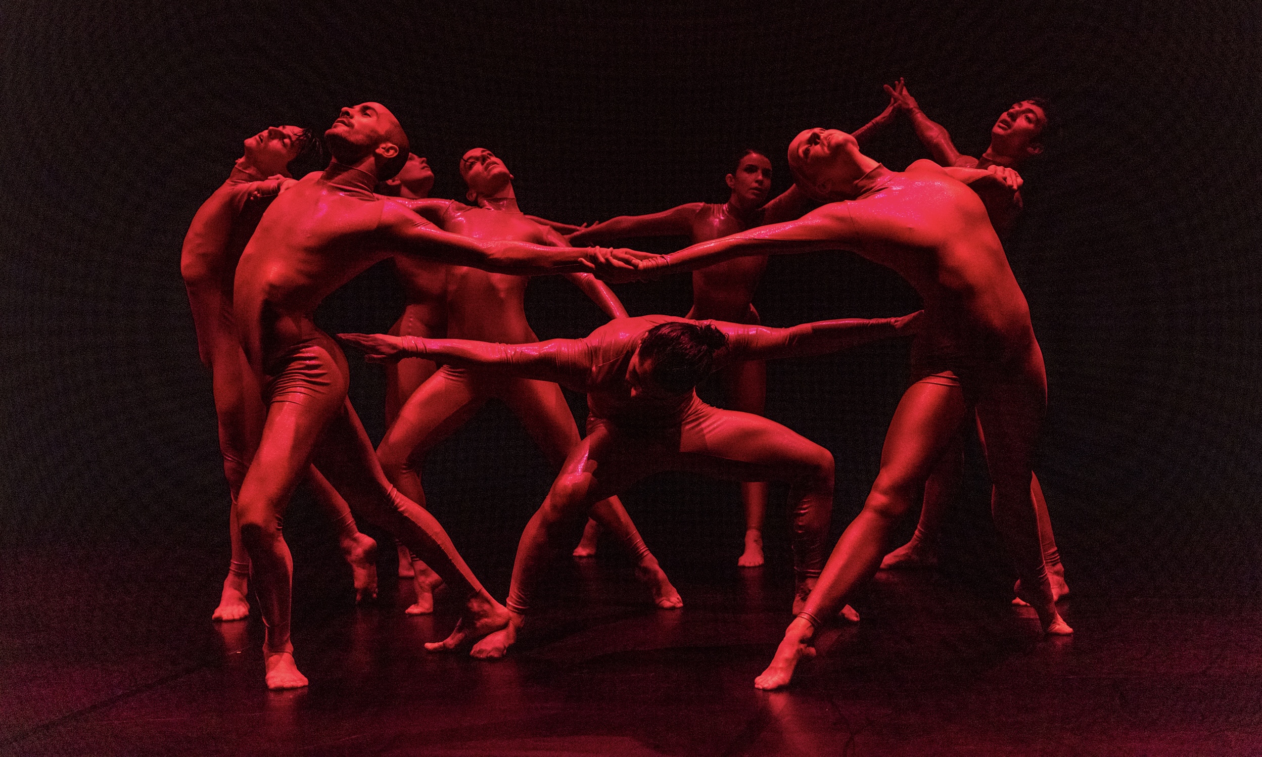 ŻfinMalta National Dance Company Audition call for apprentice dancers 2025 ŻfinMalta National Dance Company Audition call for apprentice dancers 2025